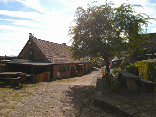 Auf dem Höhenweg zur Madenburg 2019